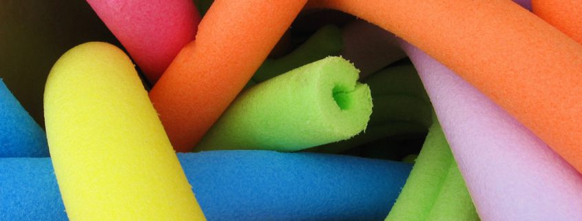Teach Students about Chromosomes with Pool Noodles - Student Research Foundation