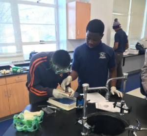 Dissecting Brains to Become Better Scientists - A high school project funded by Student Research Foundation 