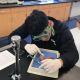 Dissecting Brains to Become Better Scientists - A high school project funded by Student Research Foundation