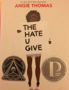 Caring Donors Give Students in Chicago a Novel they Can Relate to - a project partially funded by the Student Research Foundation